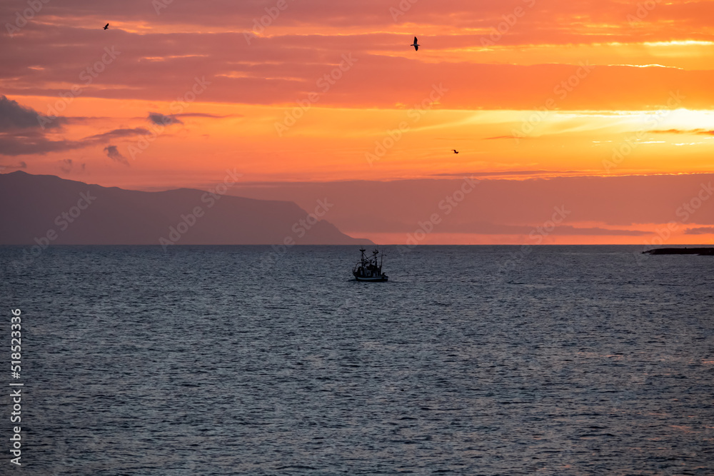 Romantic sunset seen from lookout Cypelek Los Cristianos, Tenerife, Canary Islands, Spain, Europe. Silhouette of birds entering frame. Fishermen boat on the way to Island of La Gomera in the distance