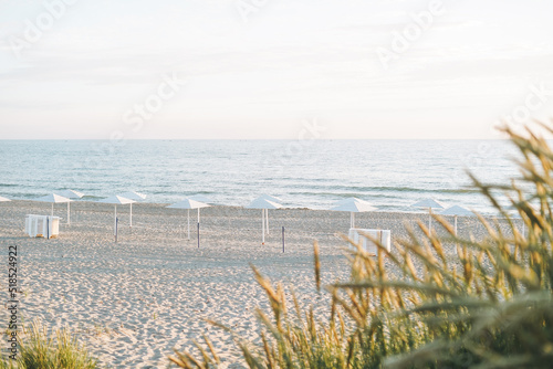 Green grass dunes on background of sandy beach of the Baltic Sea