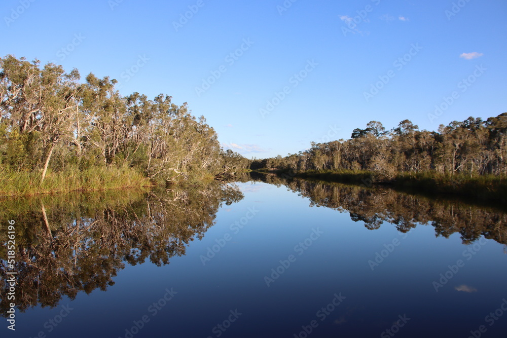Reflections in the Noosa Everglades, Sunshine Coast, Queensland, Australia. Reflections in the Noosa Everglades, Sunshine Coast, Queensland, Australia.