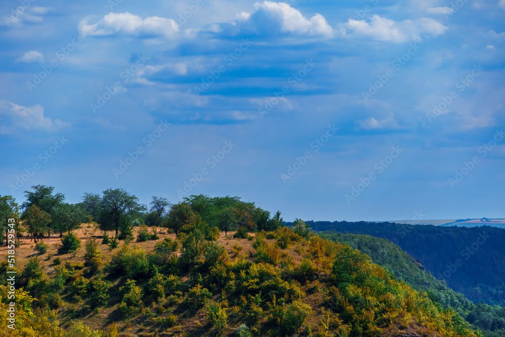 forest on a hill and wild grass, beautiful valley with green trees, blue sky with clouds on the horizon, beautiful summer landscape, bright sunny day