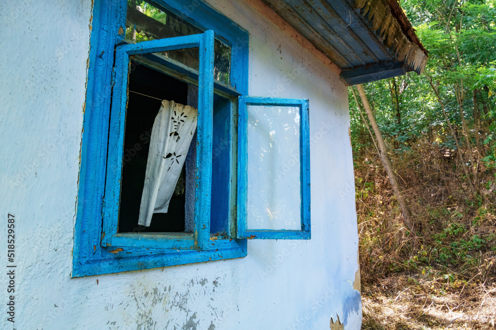 open window with white curtains, abandoned old house in a thicket of ...