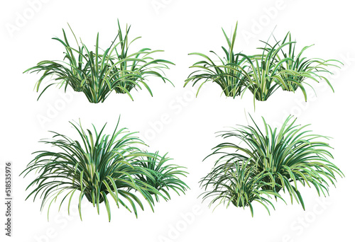 Green-leaved plants on a white background
