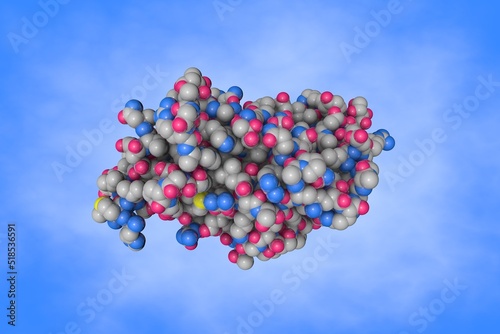 Klebsiella pneumoniae Carbapenemase beta-lactamase in complex with hydrolyzed cefotaxime. Space-filling molecular model. Rendering based on protein data bank entry 5uj3. 3d illustration photo