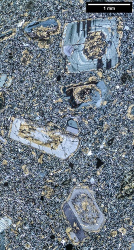 Andesite porphyrite, thin section, image in a microscope photo