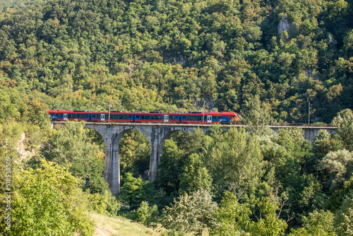 Traveling by railway. Train crosses the bridge through the forest and nature