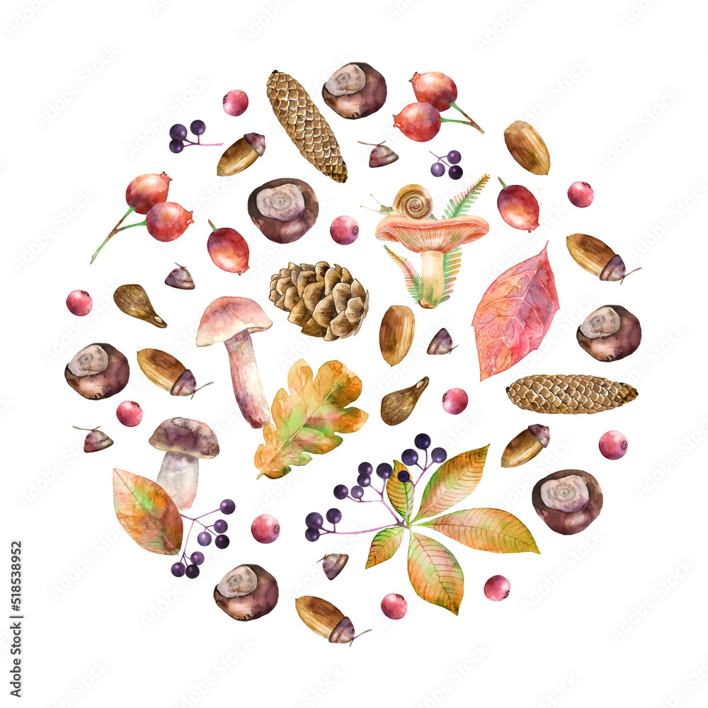 Collection of watercolor illustrated mushrooms, leaves, berries, chestnuts and cones. Hand drawn fall elements. Autumn design for packaging, invitation and greeting card. Collection of watercolor illustrated mushrooms, leaves, berries, chestnuts and cones. Hand drawn fall elements. Autumn design for packaging, invitation and greeting card.