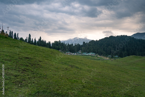 Morning view of a farm on the hills of Gulmarg. Fog surrounds and many houses  Jammu and Kashmir  India.