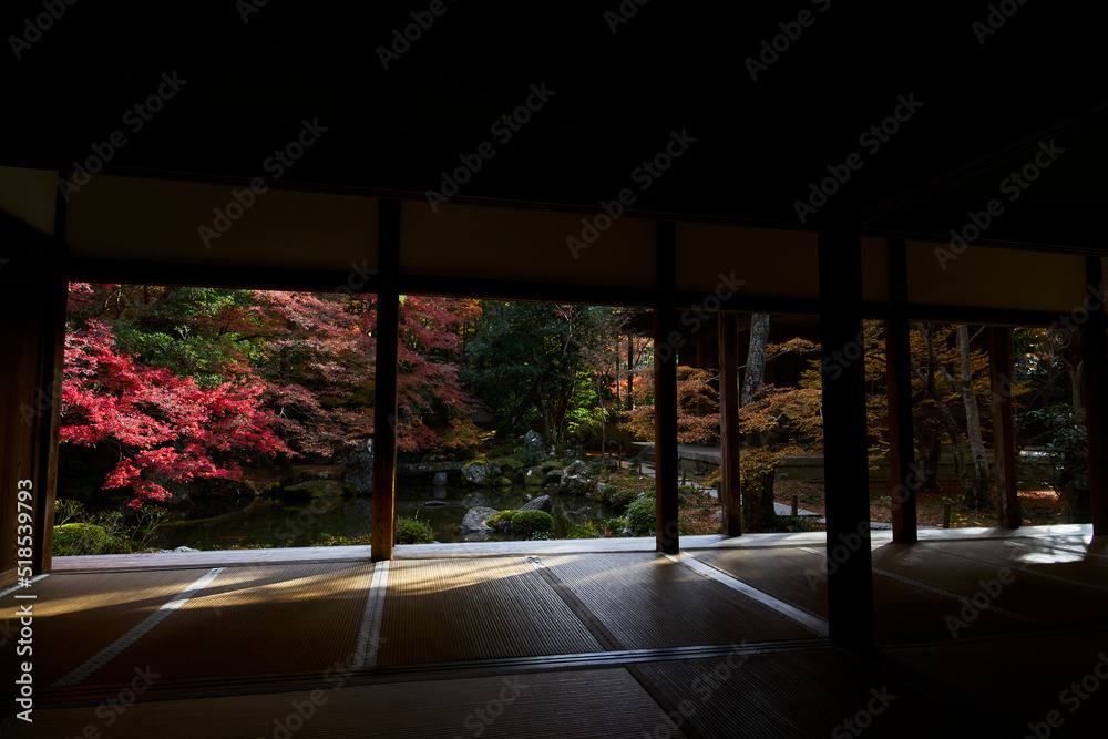 Fototapeta premium View from Rengeji Temple in Kyoto, Japan 