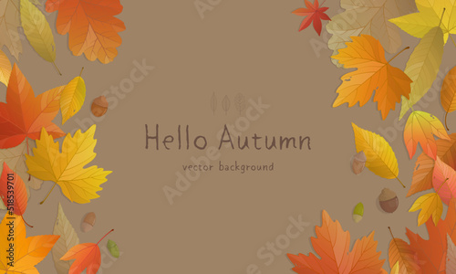 Vector illustration of autumn banner background with copy space. Fall landscape concept.