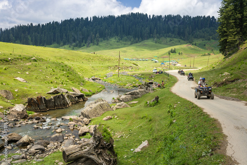 Canvas Print A road leading to Himalayan Mountains through Gulmarg, Jammu and Kashmir, India
