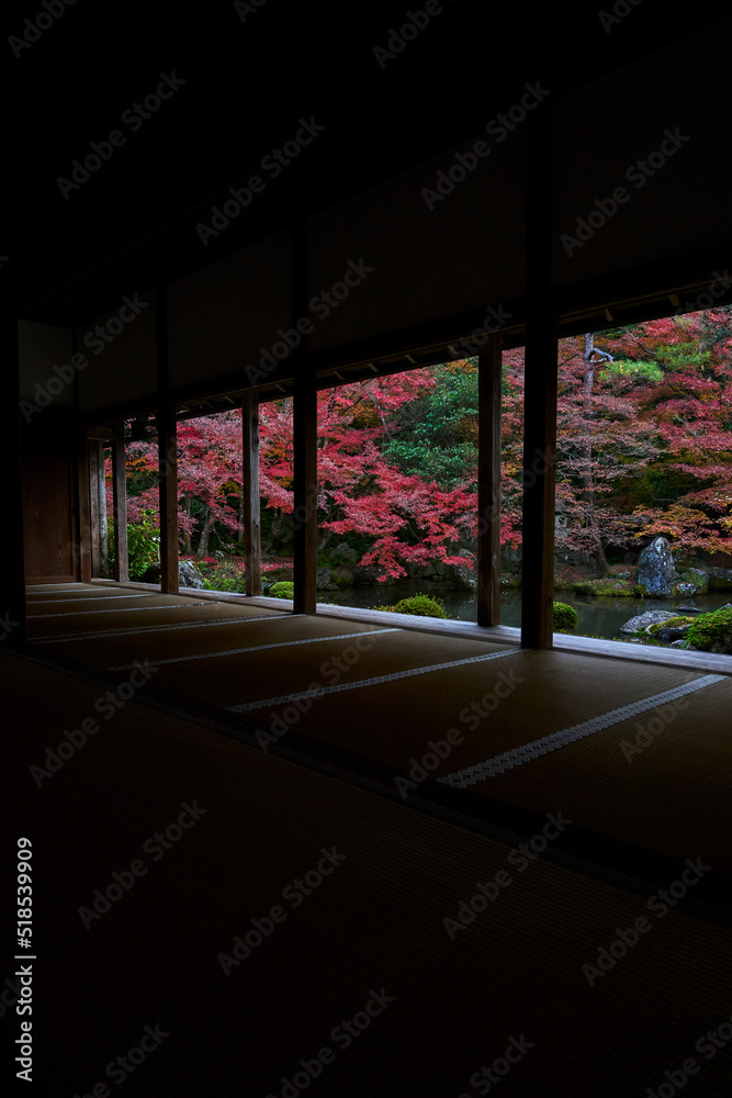 View from Rengeji Temple in Kyoto, Japan	