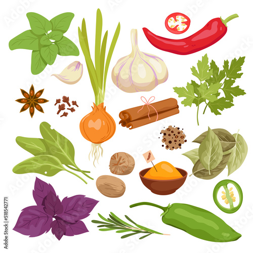 Spices set vector illustration. Cartoon isolated Asian spicy dry hot and sweet pepper powder, seeds and fresh bunch of herbs and plants, organic vegetables for cooking, seasoning food in kitchen