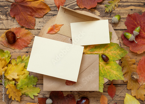 Cards between colorful autumn leaves and berries on wooden table top view, rustic mockup
