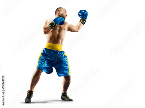 Professional box figter isolated on white background photo