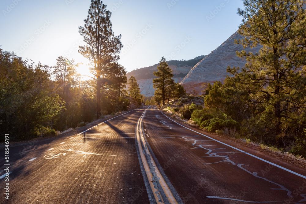Fototapeta premium Scenic Road in American Mountain Landscape. Sunny Morning Sunrise Sky. Zion National Park, Utah, United States of America. Adventure Travel