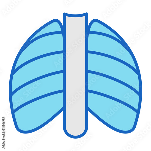 X-ray Icon