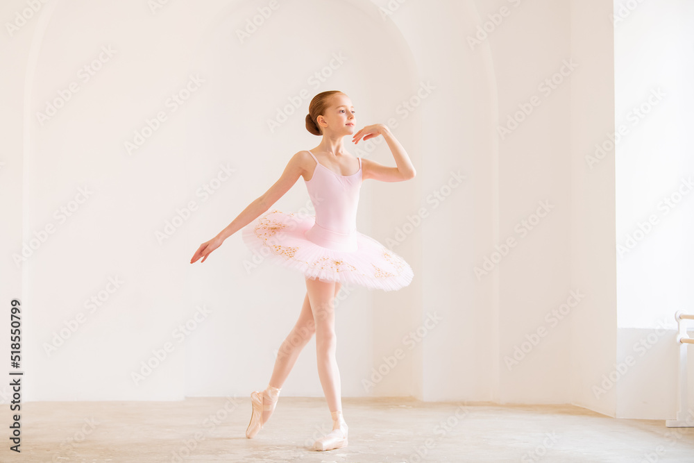 Little girl ballerina dancer in tutu learning ballet dance at dance school Little girl ballerina dancer in tutu learning ballet dance at dance school