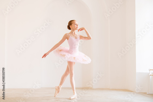 Little girl ballerina dancer in tutu learning ballet dance at dance school
