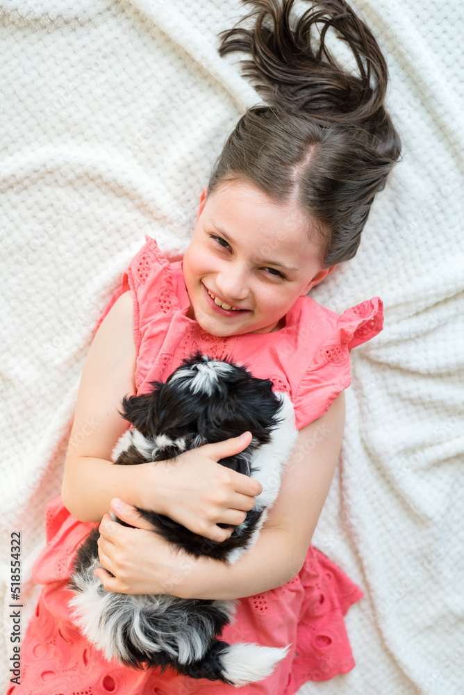 Portrait of a girl with a puppy. A 7-year-old girl plays with a Shih Tzu puppy Portrait of a girl with a puppy. A 7-year-old girl plays with a Shih Tzu puppy
