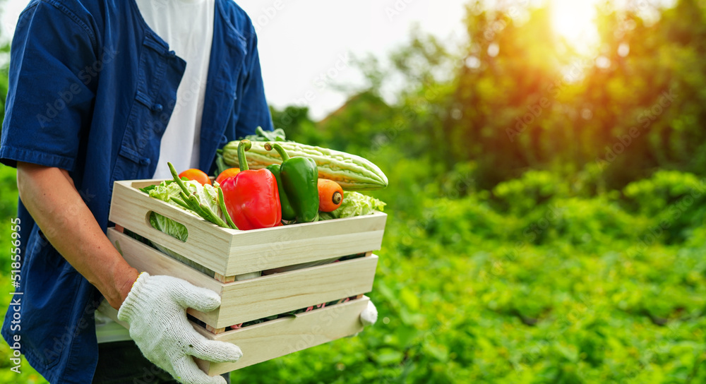 young man holding a box of vegetables young man holding a box of vegetables