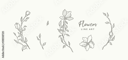 Delicate line art floral elements for wreaths frames. Hand drawn flowers. Botanical logo. Vector illustration for labels, branding business identity, wedding invitation © Feodora_21