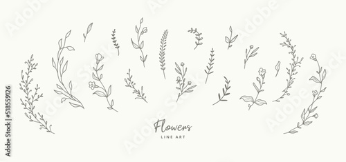 Delicate line art floral elements for wreaths frames. Hand drawn flowers, branches, leaves, plants, herbs. Leaf logo. Vector illustration for labels, branding business identity, wedding invitation