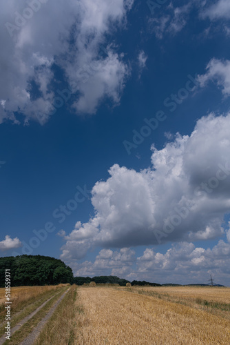 Abgeerntete Felder mit Wolkenhimmel in Marburg