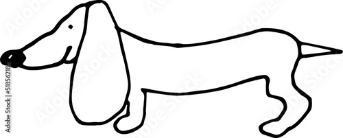 Hand drawn dog dachshund illustration