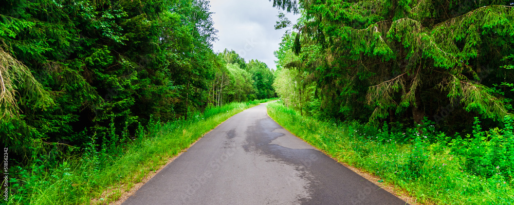 A country road along with nature and holiday.Travel concept.Empty road in the middle of the forest.Banner,advertisement.