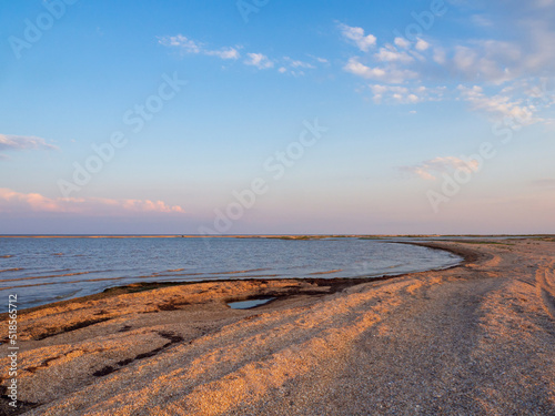 Wild lagoon shore covered with a layer of seashells under a blue sky with white clouds. Deserted seashore. Seascape