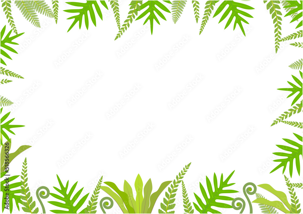 Obraz premium 白い背景にいろいろな形のシダのフレーム