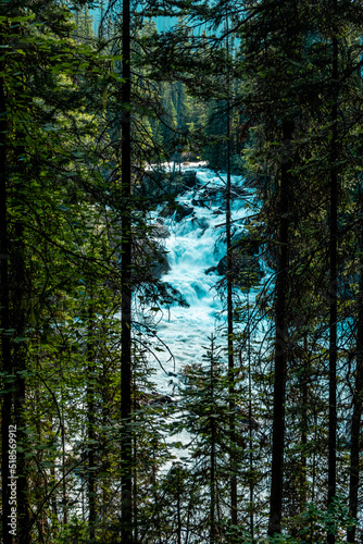 Fototapeta Naklejka Na Ścianę i Meble -  Kicking Horse River Yoho National Park British Columbia Canada