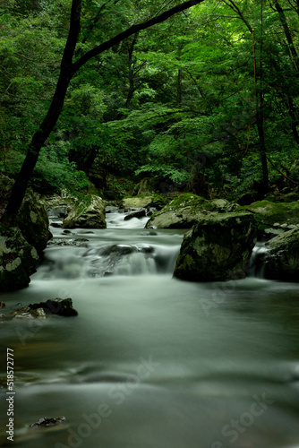 新緑の渓流 © 歌うカメラマン