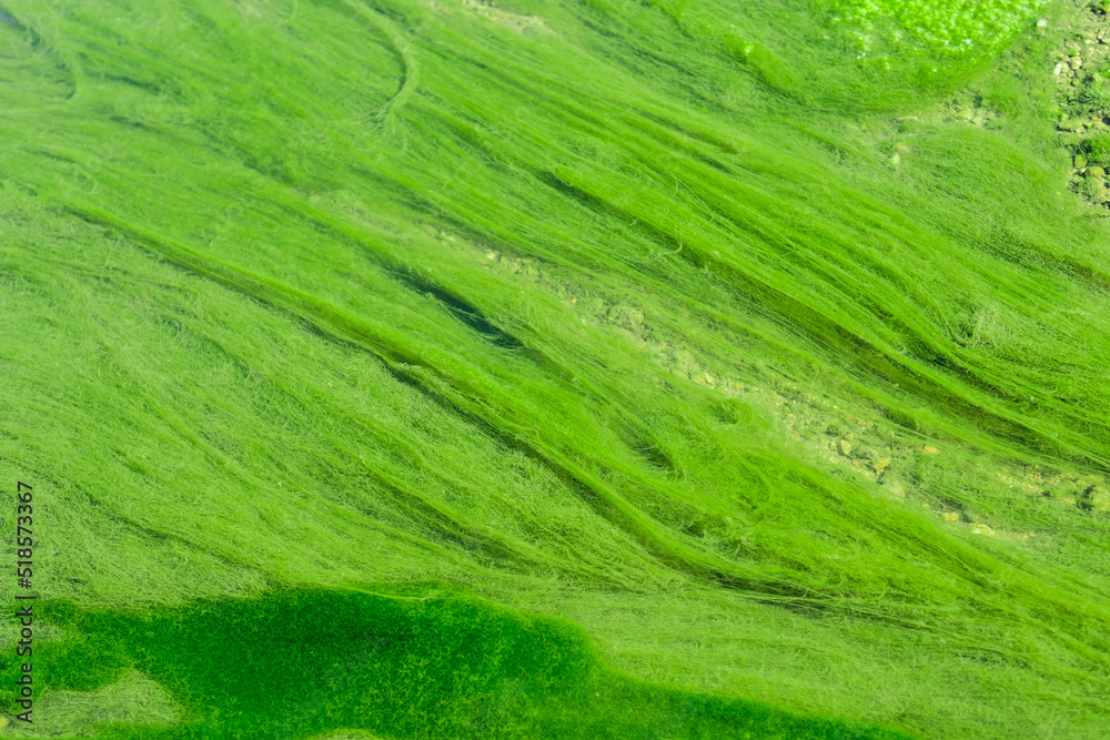 bright green mud close-up. Acid color green background bright green mud close-up. Acid color green background