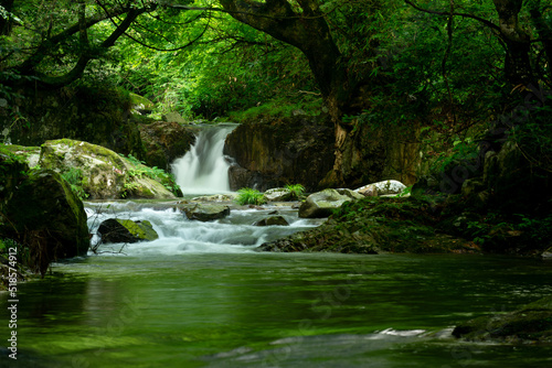 新緑の渓流