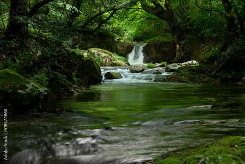 新緑の渓流
