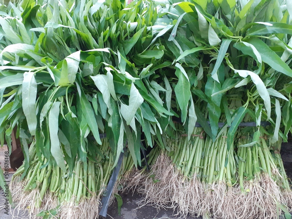 Obraz premium onions