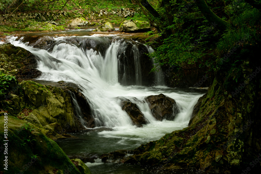 Fototapeta premium 新緑の渓流