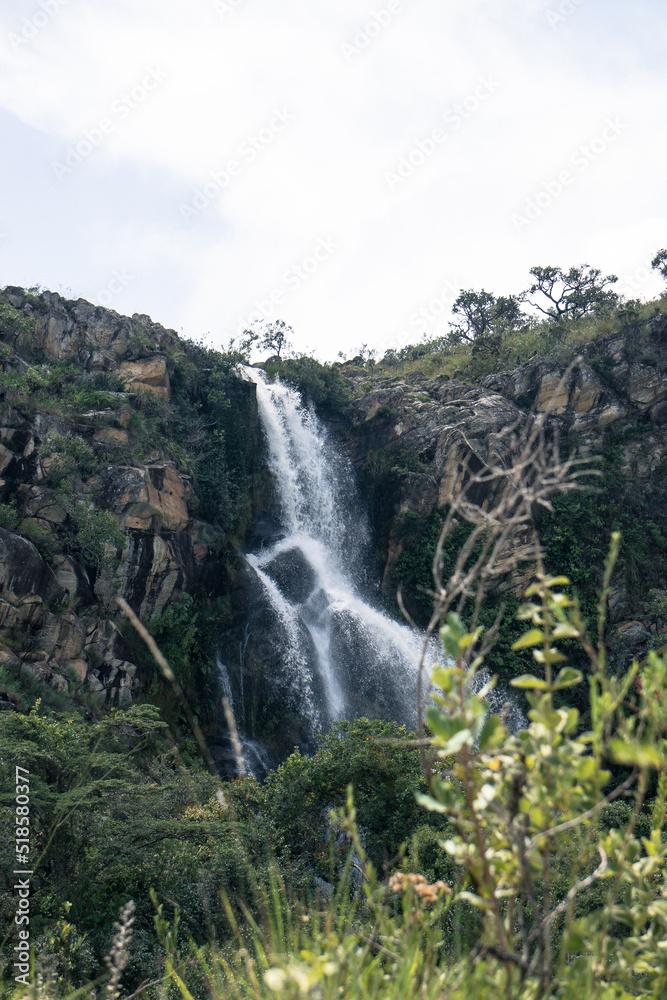 waterfall in the forest