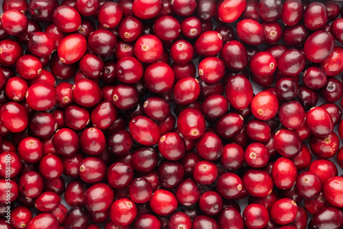 Cranberry bio background  food background.