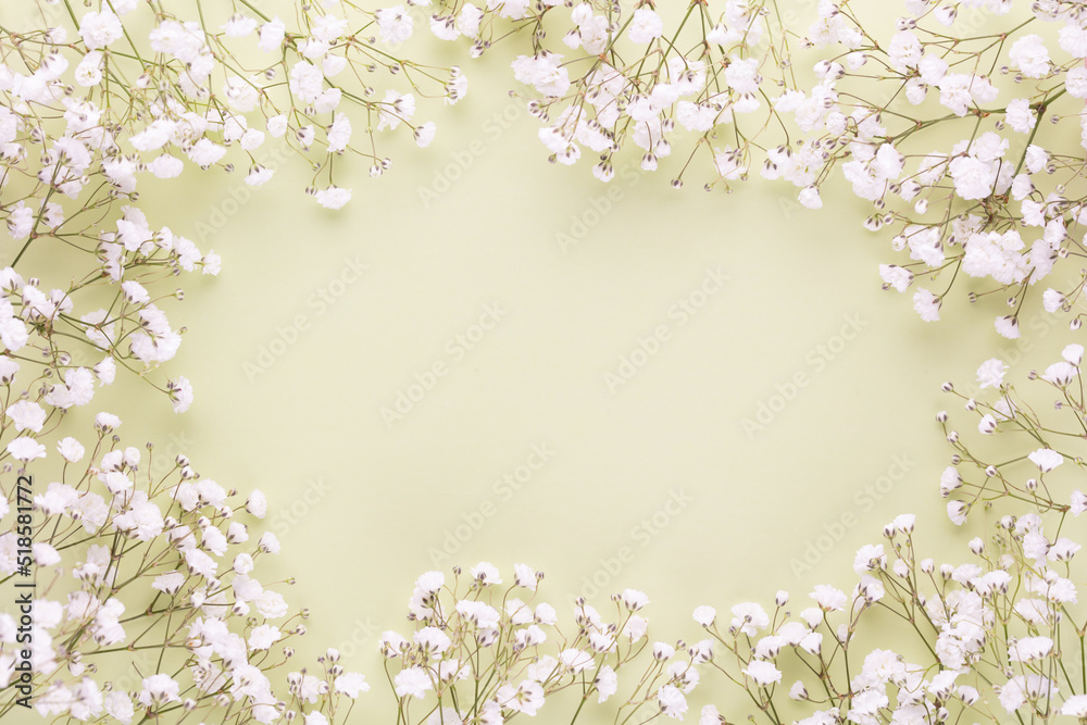 Beautiful flower background of pink gypsophila flowers. Flat lay, top view. Floral pattern.