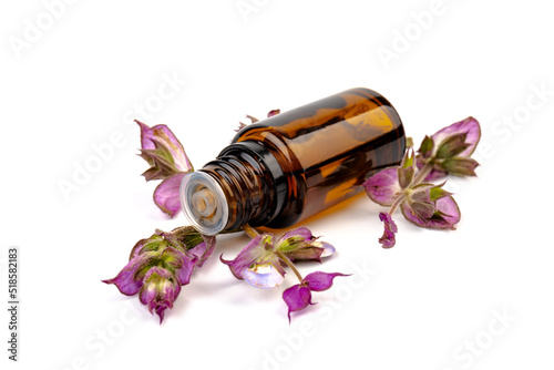 A bottle of essential oil with fresh blooming clary sage twigs on white background.