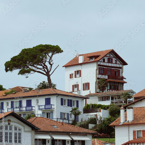 houses in the city basque - France  © alexis