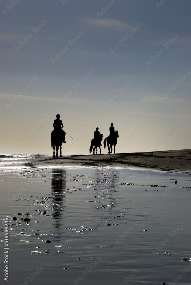 silhouettes of people riding the horse on the beach