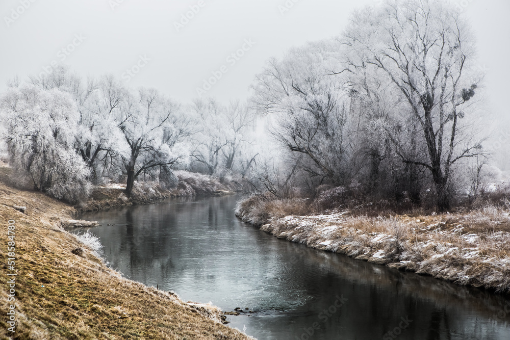 Odra river with forest covering the banks in winter and snow covered rocks in Poland Odra river with forest covering the banks in winter and snow covered rocks in Poland