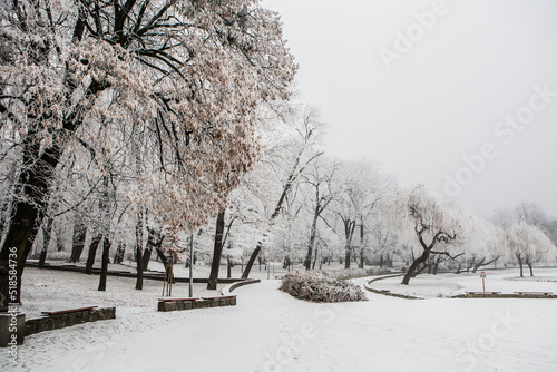 Park zimą. Ośnieżone alejki i drzewa photo