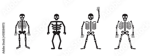 Skeleton icon set design template vector isolated illustration