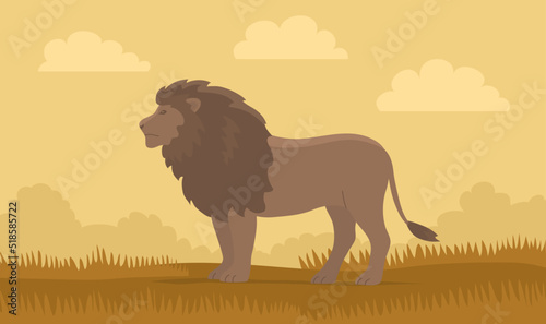 Lion on the background of the wild savannah. Big cat hunter with a mane. Predatory animal mammal of Africa. King lion. Fauna and zoology. Cartoon vector illustration