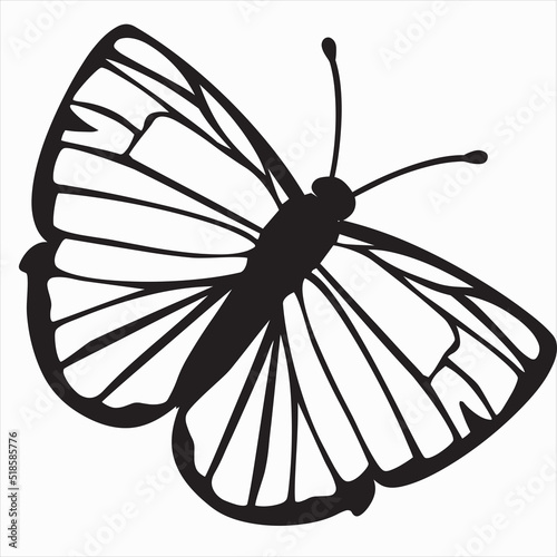 Vector  Image of butterfly  black and white color  with transparent background  Ikon Diverifikasi Komunitas Buka di Google Terjemahan     Masu