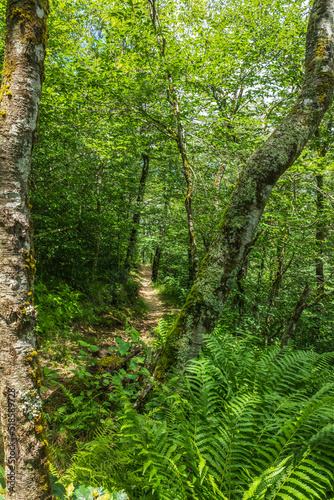 North Carolina Hiking Trails